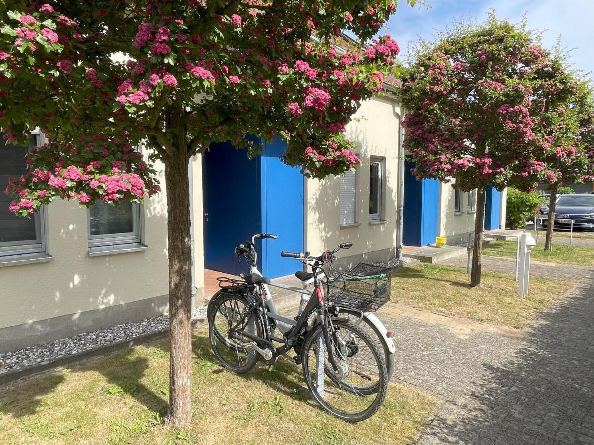 Apartment Seeadler Mit Balkon Dewichow Exterior photo